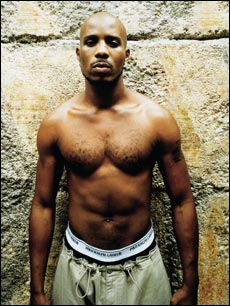 the dmx
